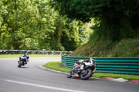 cadwell-no-limits-trackday;cadwell-park;cadwell-park-photographs;cadwell-trackday-photographs;enduro-digital-images;event-digital-images;eventdigitalimages;no-limits-trackdays;peter-wileman-photography;racing-digital-images;trackday-digital-images;trackday-photos